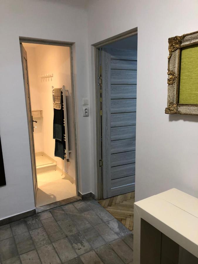 Garsoniera Centru Apartment *