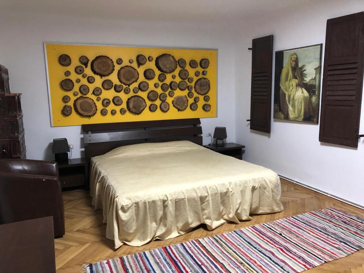 Garsoniera Centru Apartment